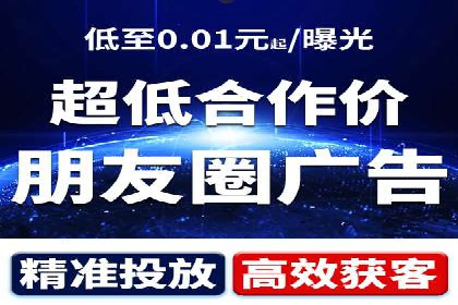 某行业领军企业的SEM广告投放策略